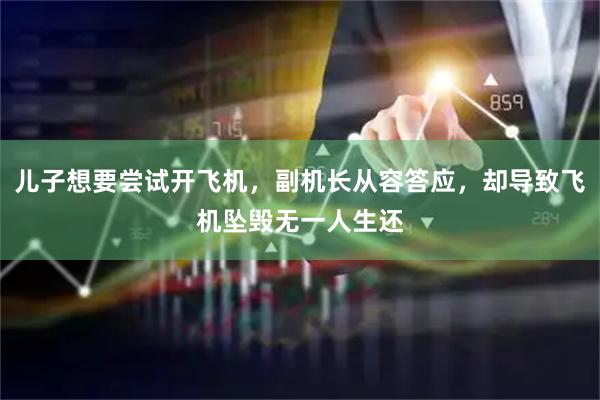 儿子想要尝试开飞机，副机长从容答应，却导致飞机坠毁无一人生还