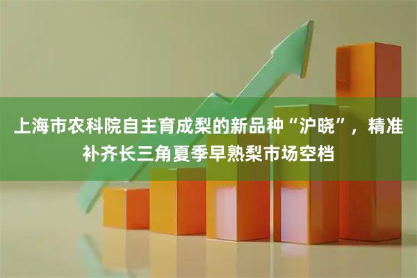 上海市农科院自主育成梨的新品种“沪晓”，精准补齐长三角夏季早熟梨市场空档